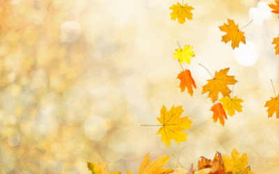 Autumn Reminds Us to Value the Moments