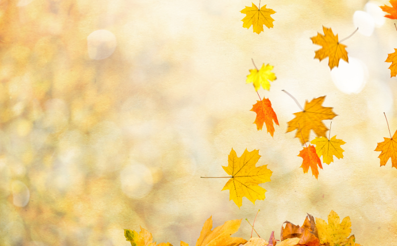 Autumn Reminds Us to Value the Moments